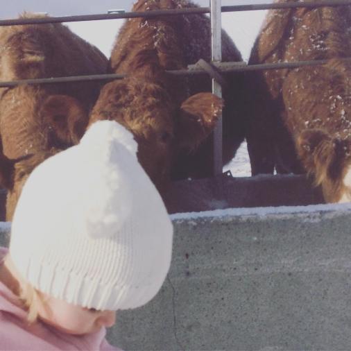 16123117_185477558600190_4503795632498016256_n(1)